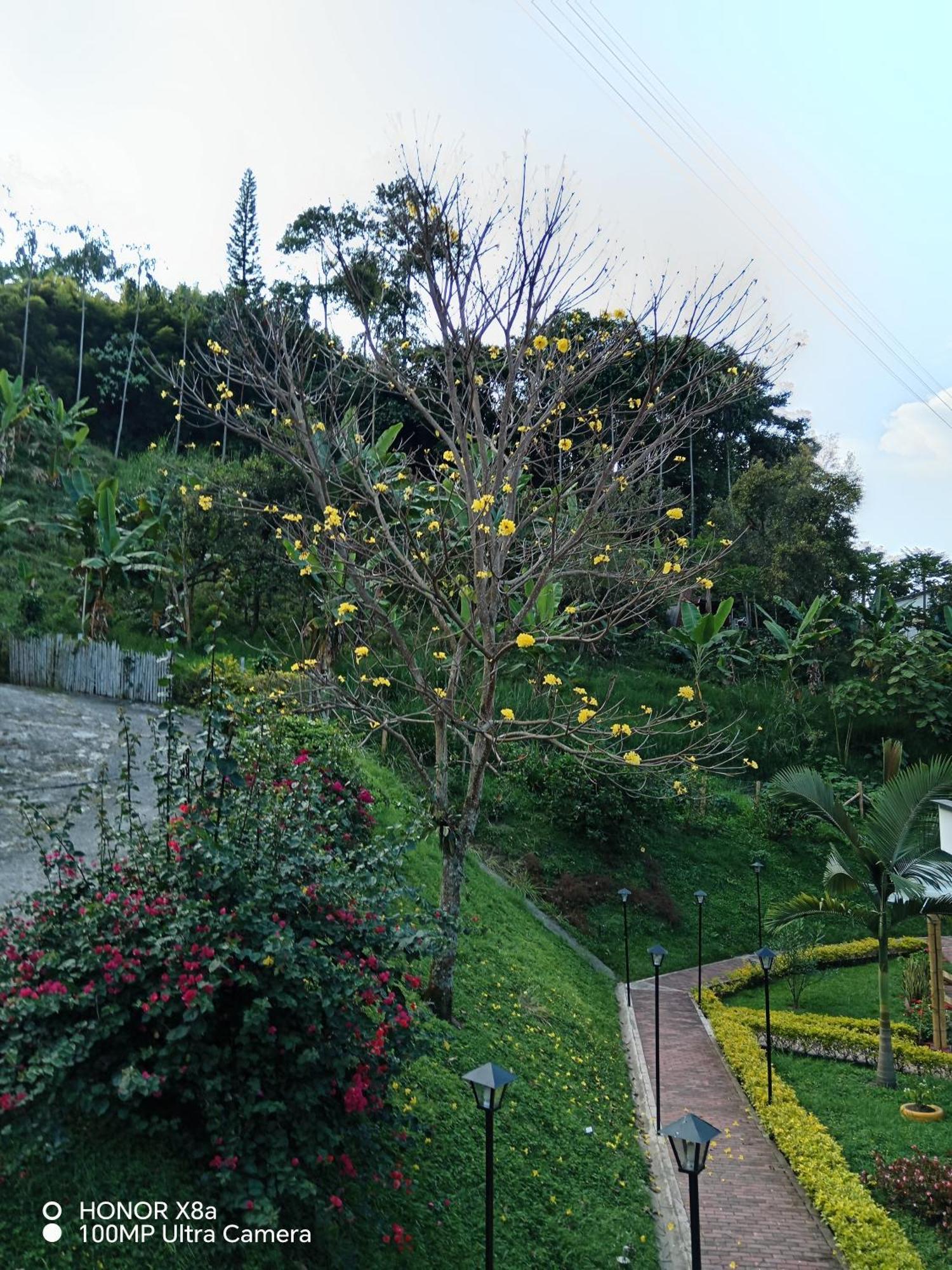 Hospedaje Campestre Providencia Villa Manizales Bagian luar foto